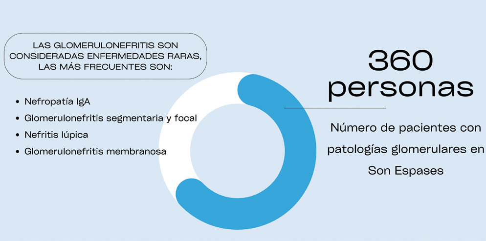 Gráfica de pacientes con patologías glomerulares en Son Espases en el 2024